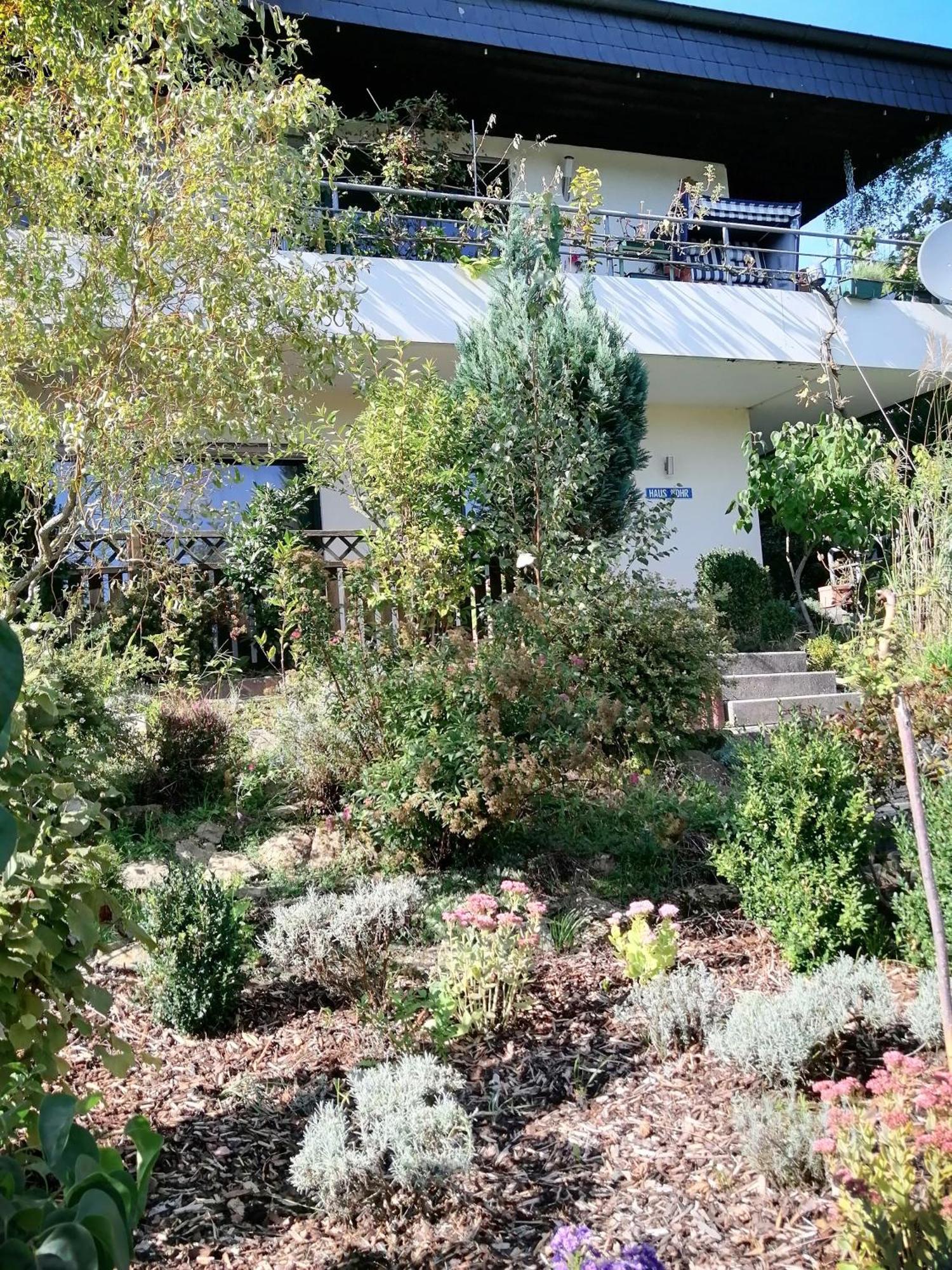 Haus Mohr - Ferienwohnung Im Taunus Weilmunster Zewnętrze zdjęcie
